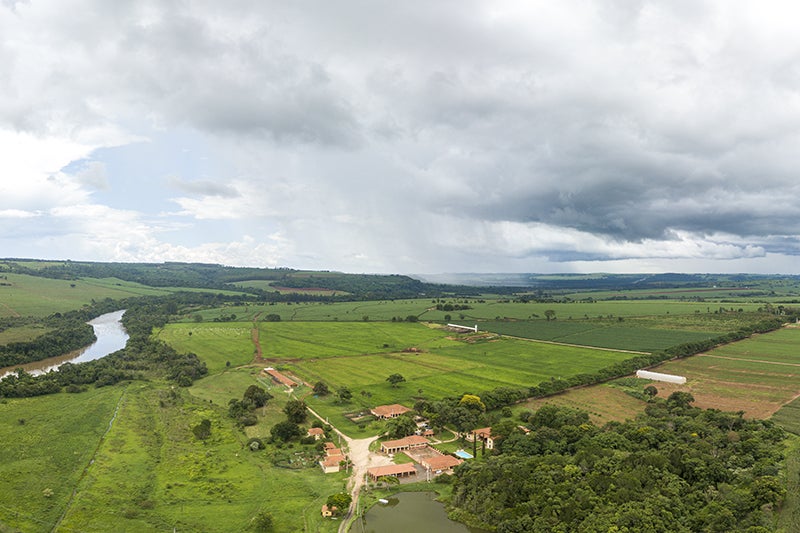 Fundação Salvador Arena 2018