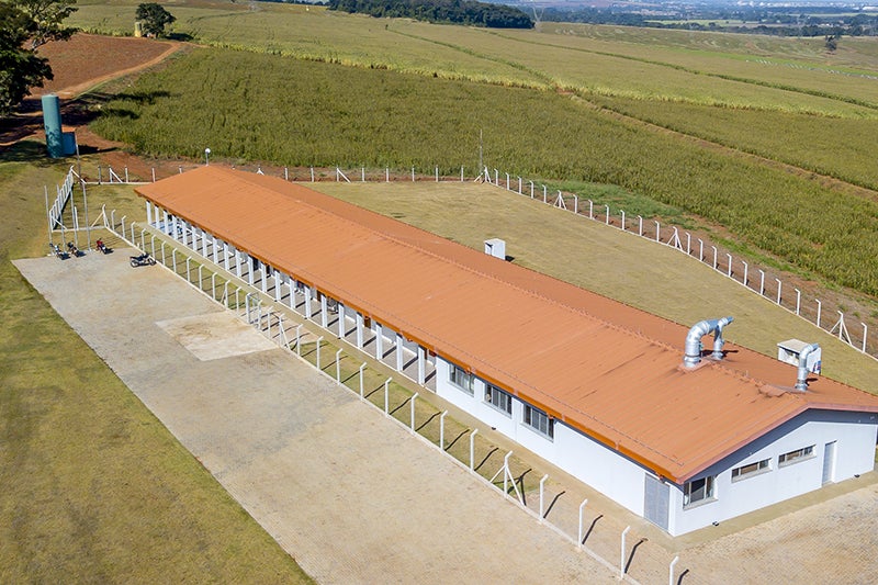 Fundação Salvador Arena 2021