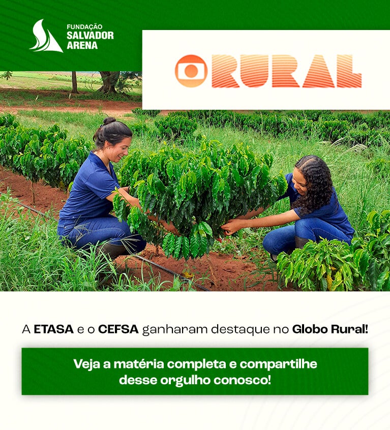 banner-globo-rural-mobile